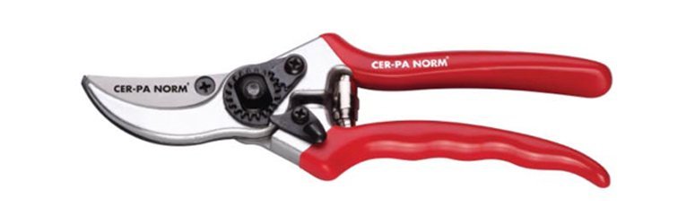 Pruning Shears